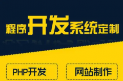 软件开发搭建网站